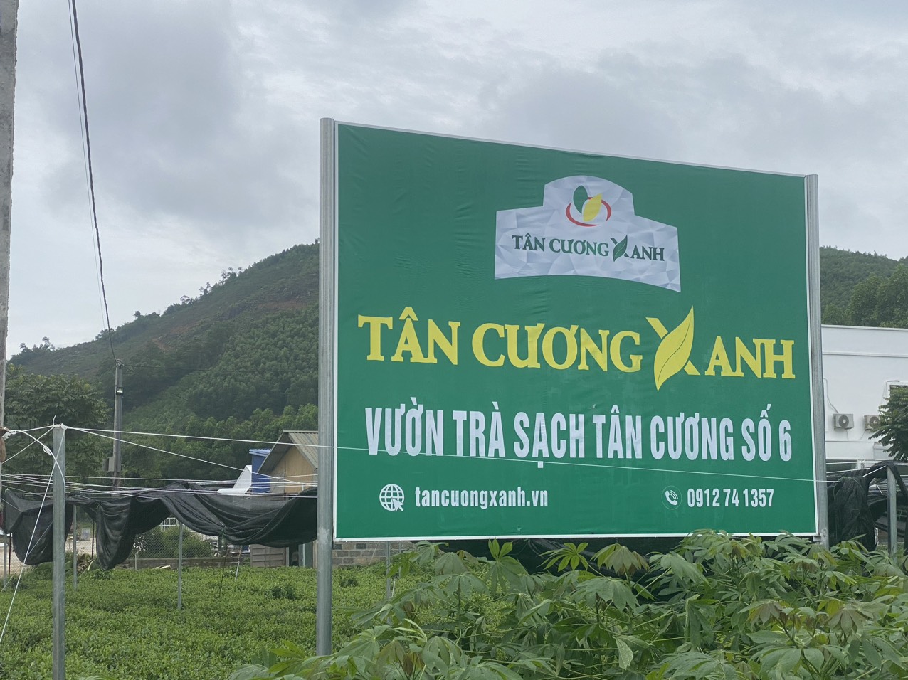 quy trinh trong tra thai nguyen huu co 5.jpg