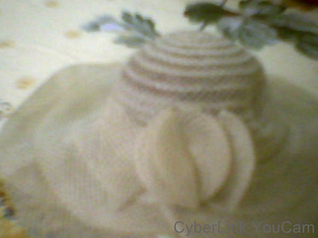 Snapshot_20170403_1.JPG