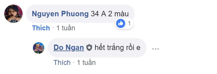 t.JPG