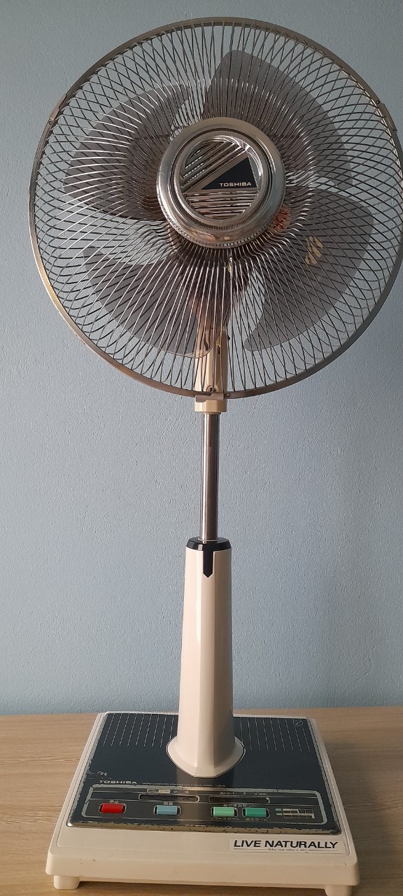 T1.jpg