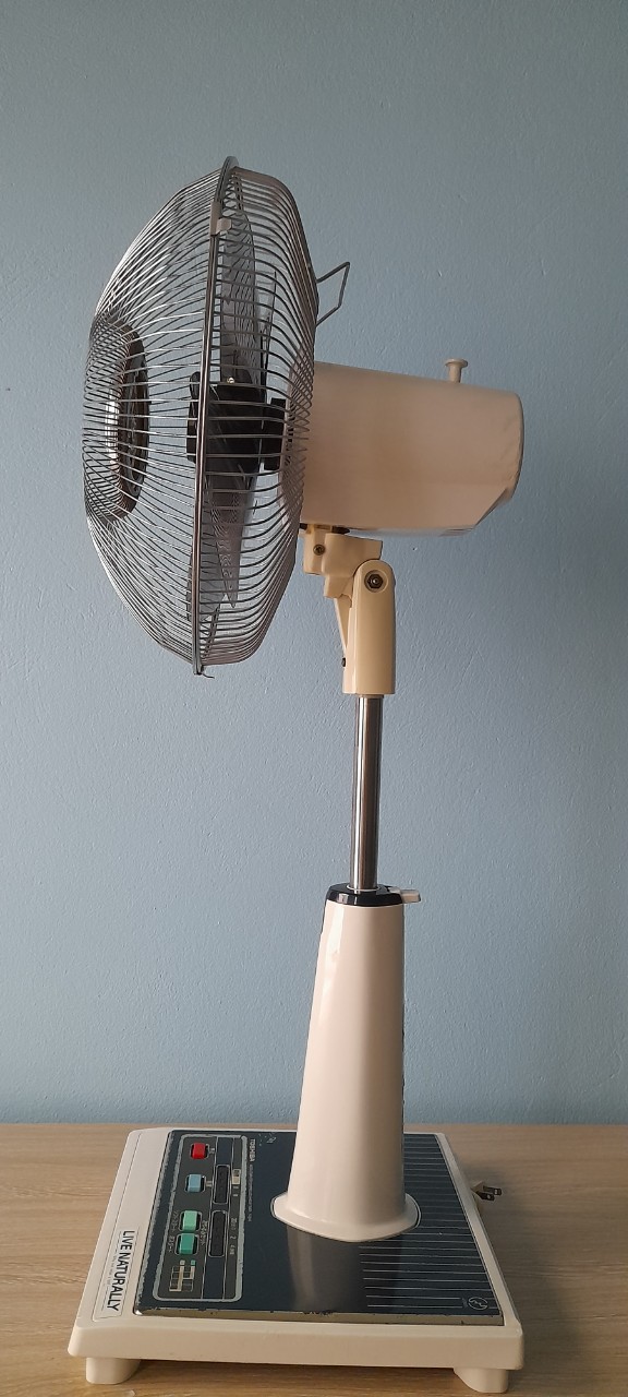 T3.jpg