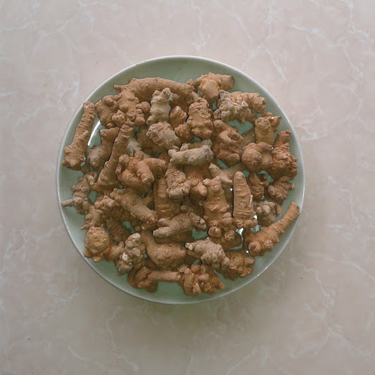 Tam thất Bắc.jpg