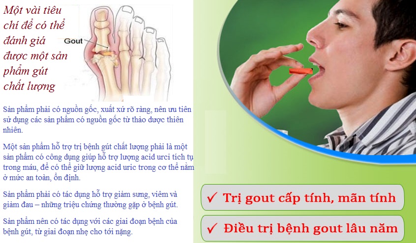 thuốc_chữa_bệnh_gout23.jpg