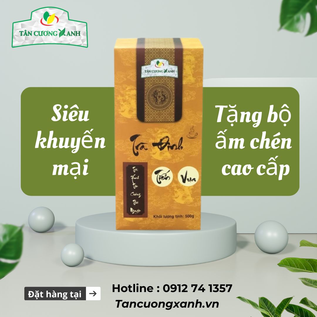 tra dinh 3.8tr chay hang dip tet 17.jpg