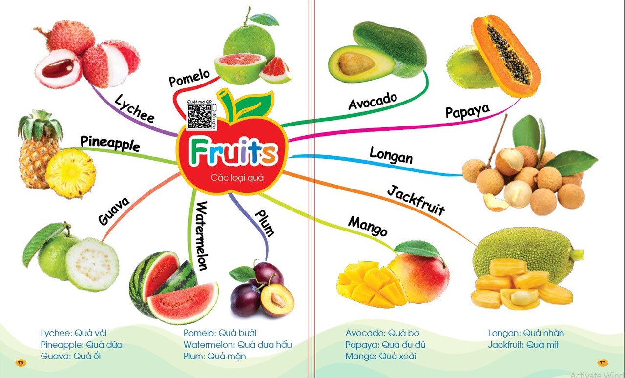 Từ vựng theo chủ đề.jpg