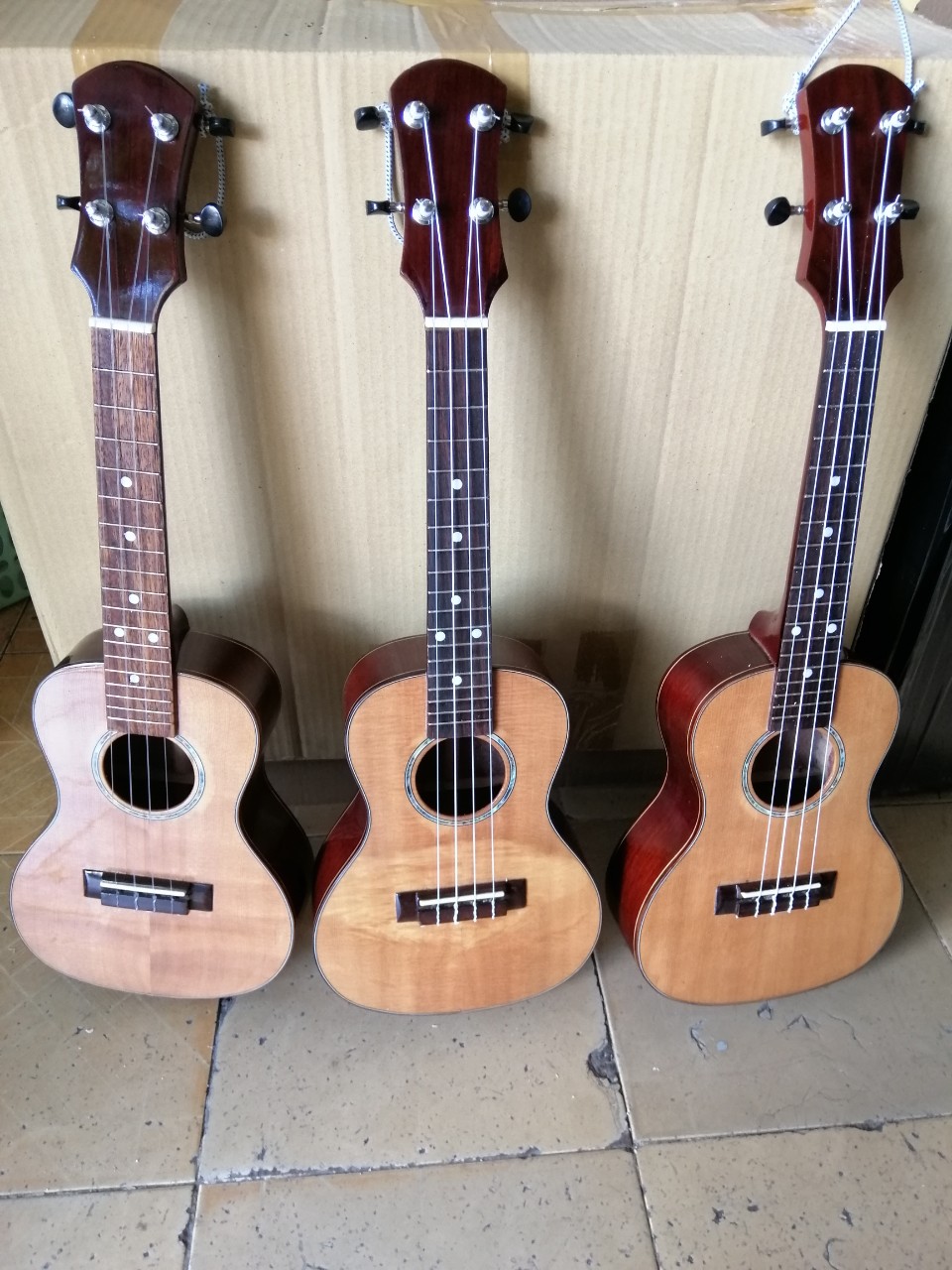 ukulele - HCM - Bán đàn ukulele giá rẻ toàn quốc  U-jpg