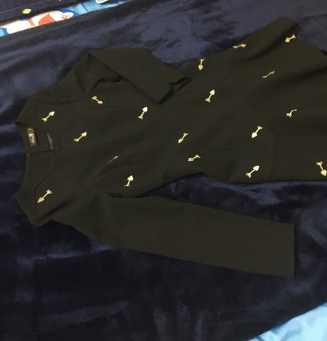 Vay Ivy mau that.jpg