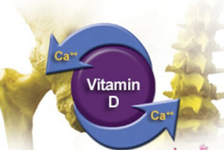 vi-sao-me-can-bo-sung-canxi-ket-hop-voi-vitamin-d3-cho-be-herokid-gold-4.jpg