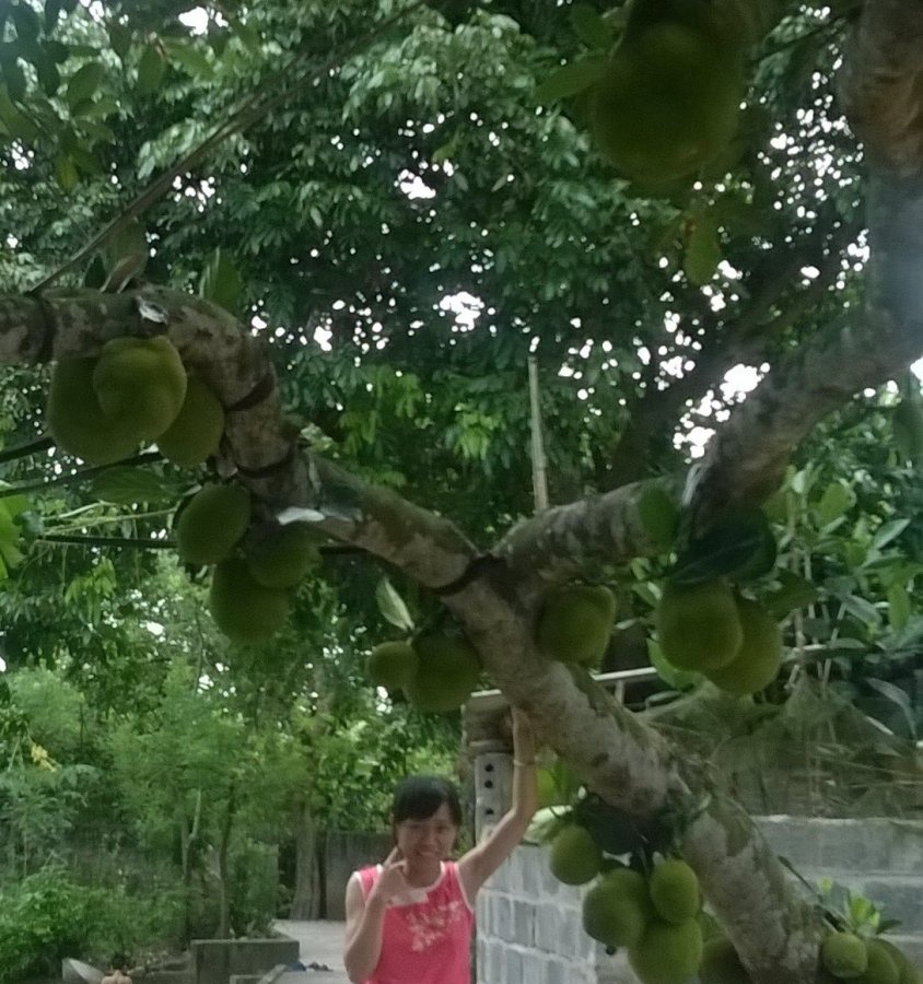 WP_20150523_044 (4).jpg