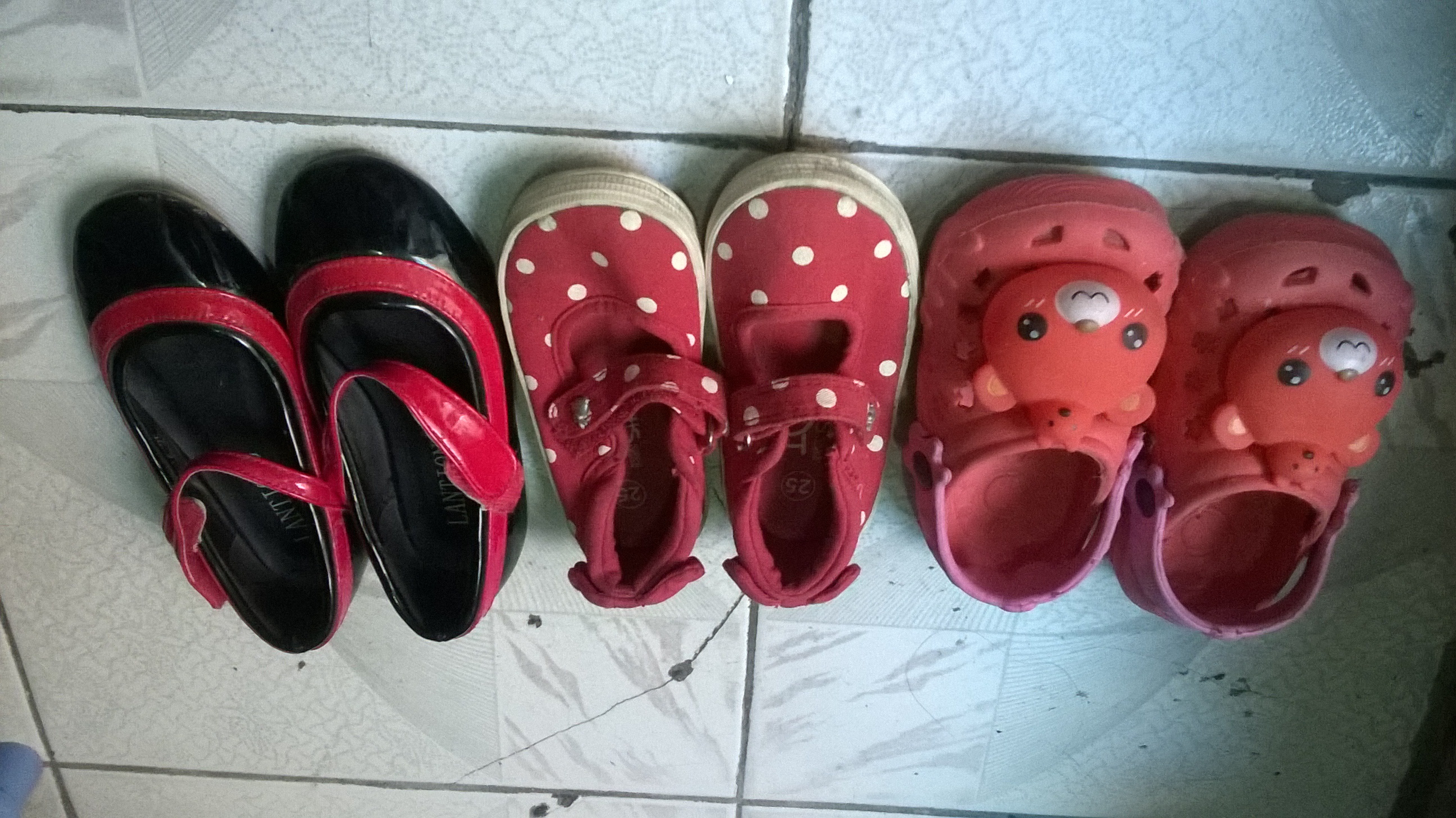 WP_20180929_007.jpg