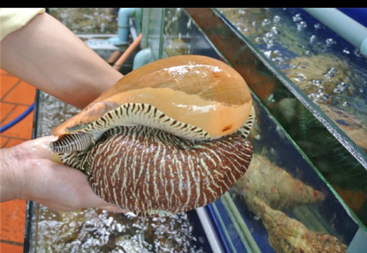 wp_ss_20160421_0001.png