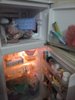 20200615_091721.jpg