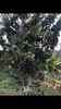 B9576781-BDC1-4034-8020-78160E922923.png