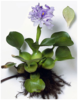 upload_2015-10-27_9-18-38.png