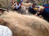 Chài lưới.jpg