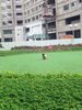 3c973144d69a38c4618b.jpg