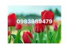 49947431_2341528952524600_5602395125184462848_n.jpg