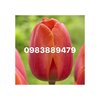 50044942_2341528725857956_9082708701109813248_n.jpg