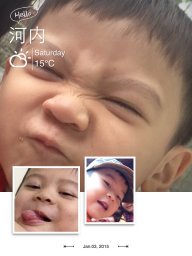 cuckoo_zin