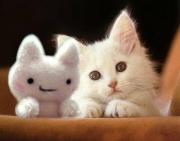 Qun iu^