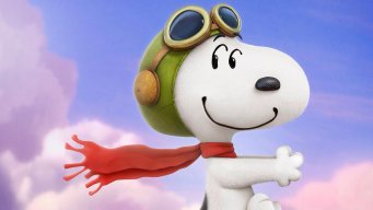 snoopy211