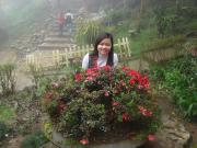 hang_truong