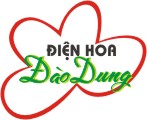 dienhoadaodung