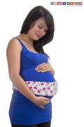 Tra_smartfetus