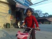 mouse2008