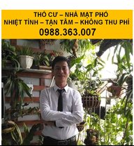trieuphutuoi40