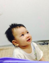 Mưa tím chiều