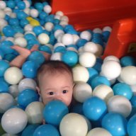 viet_ha0090
