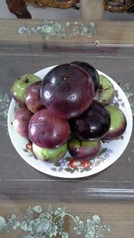phomuabay_154