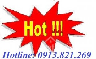thuphuong883