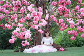 Rosestudio123