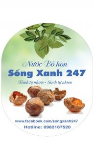 Sống Xanh 247