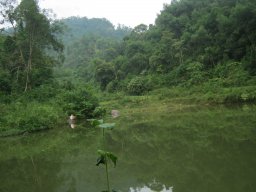 Mẹ Sáo 2309