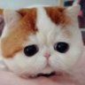 MissSunny