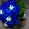 blue_rose