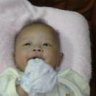 hoatimhuong