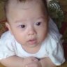 thecha2012