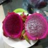 gau_thoi_iu