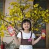 susuechip