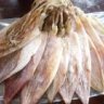 HẢI SẢN SẠCH HẠ LONG