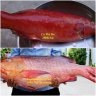 Liên hải sản