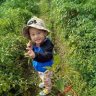 thutrangphung