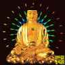 trâm đen