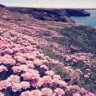 Lonelyplanet
