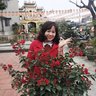 phanhueshop