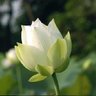 Gian hàng của Tôm
